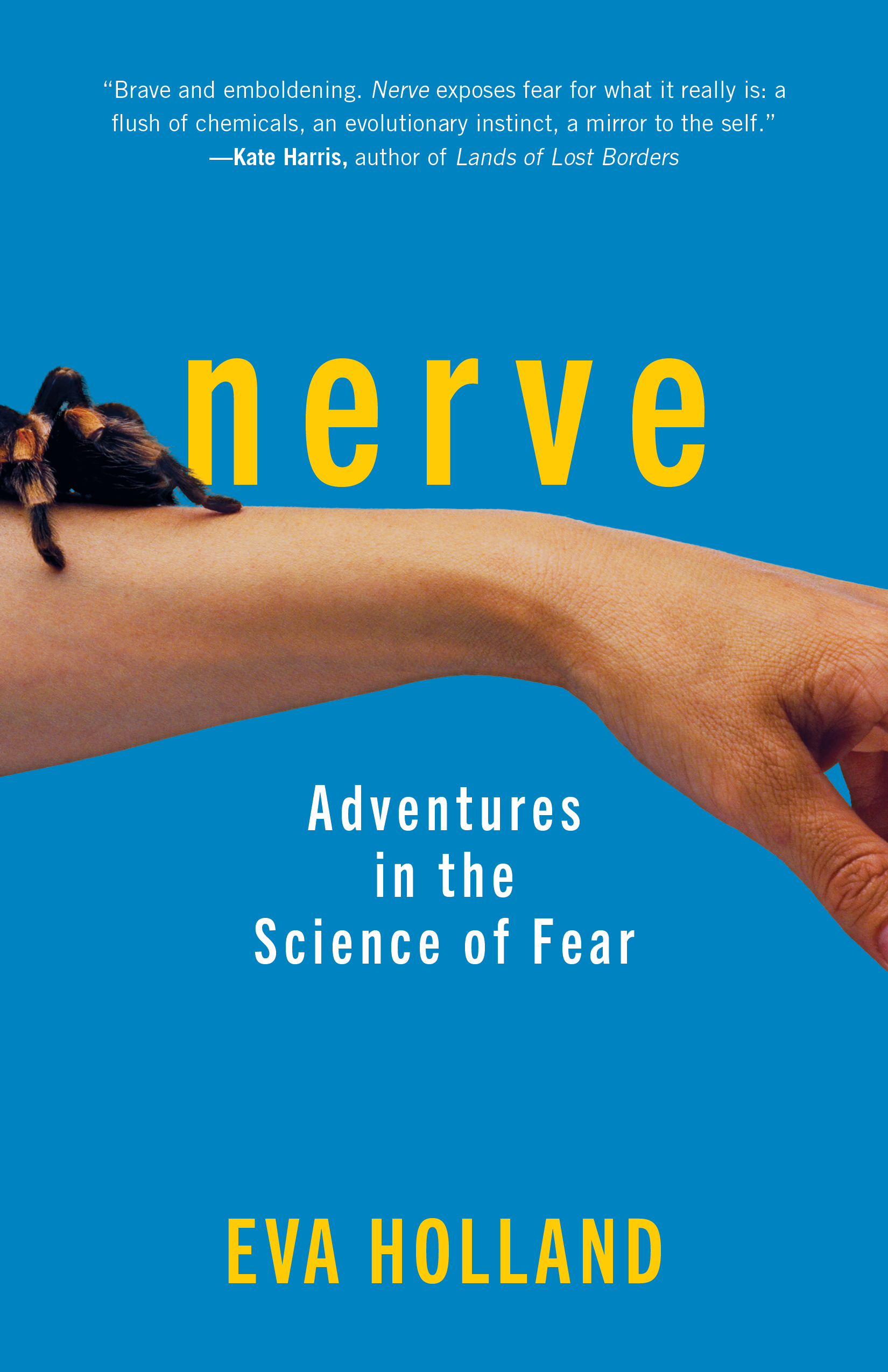 nerve-the-experiment