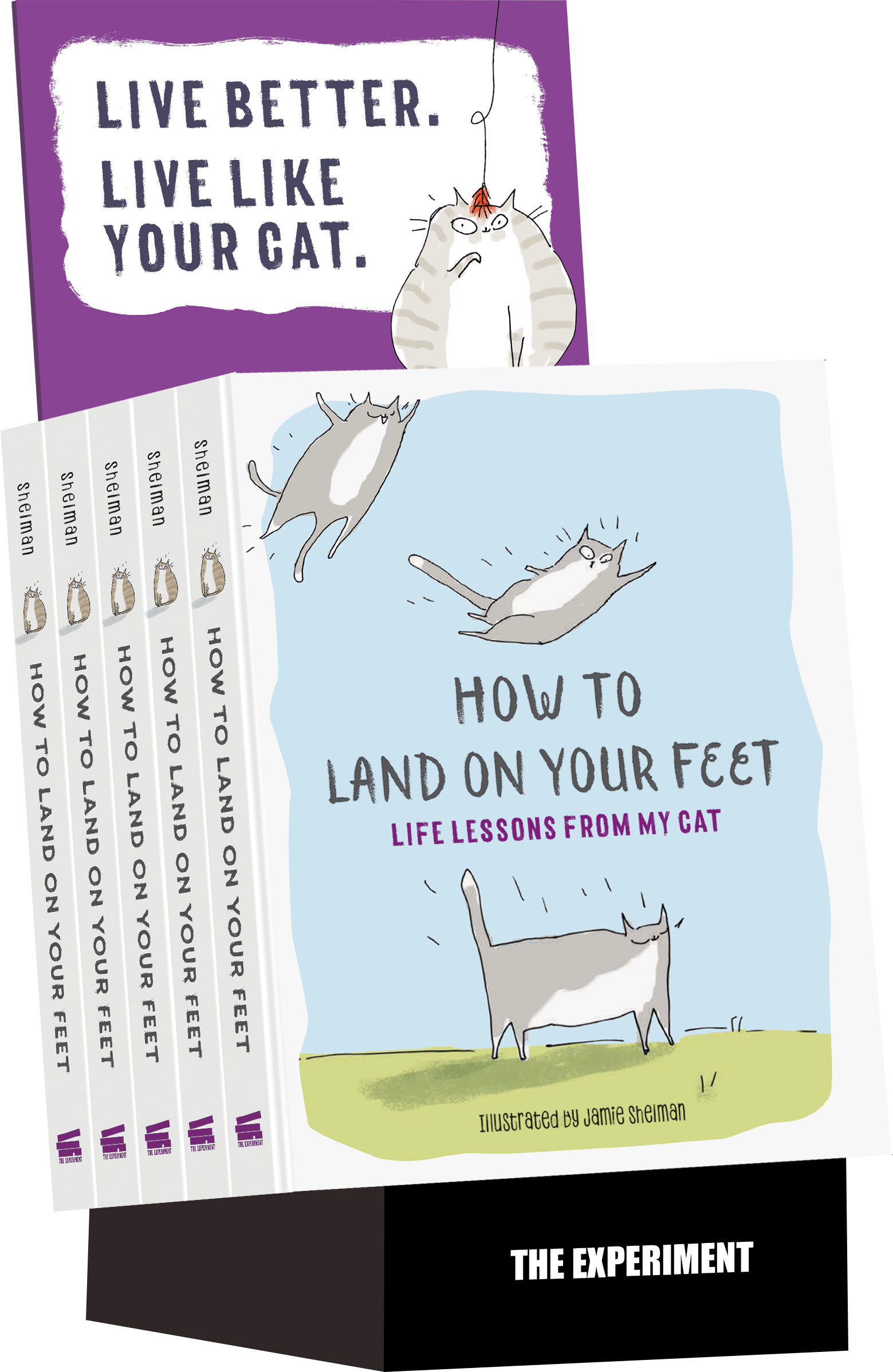 How To Land On Your Feet display The Experiment