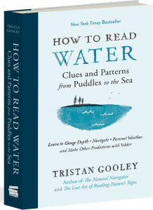 how-to-read-water_3d