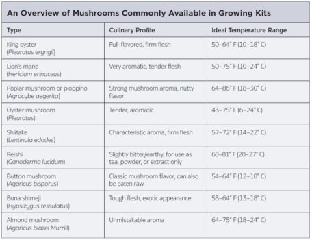 Grow Edible Mushrooms from Your Own Yard (Or Basement) | The Experiment